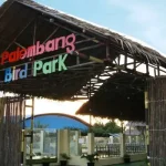 Palembang Bird Park: Pesona Burung di Tengah Kota, Akses Mudah, dan Fasilitas Menarik