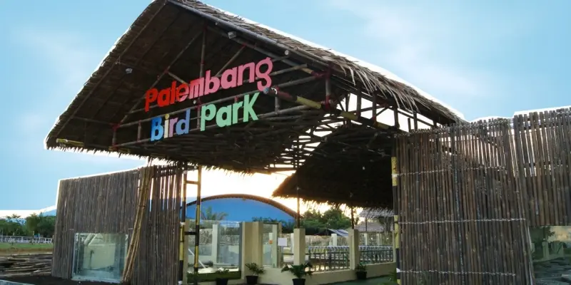 Palembang Bird Park: Pesona Burung di Tengah Kota, Akses Mudah, dan Fasilitas Menarik