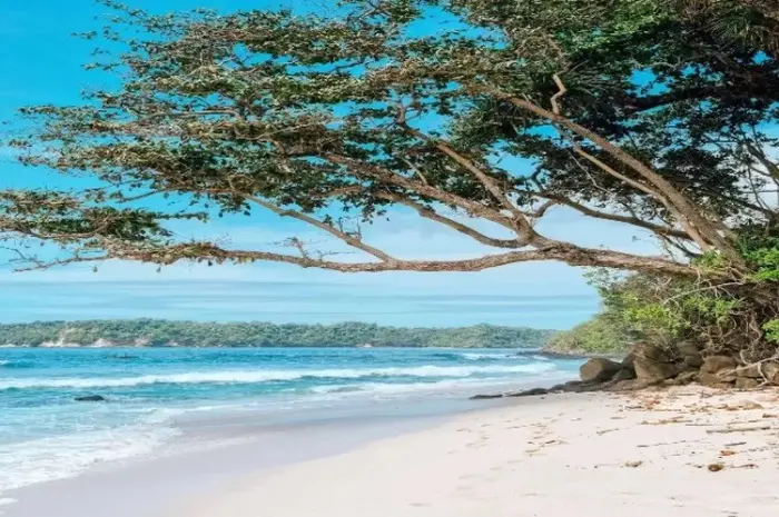 Pesona Pantai Sendiki, Pantai Indah yang Memukau di Malang